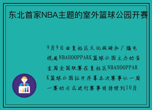 东北首家NBA主题的室外篮球公园开赛
